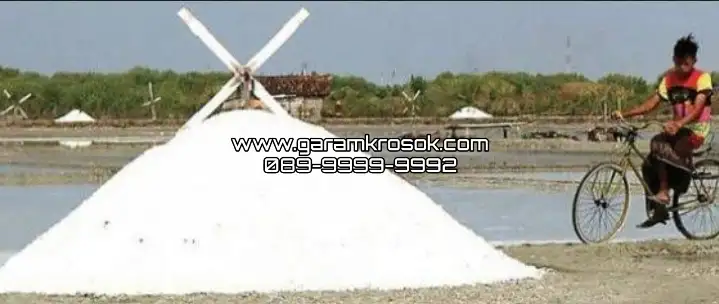 Jual Garam Kasar Terbaik Skala Besar
